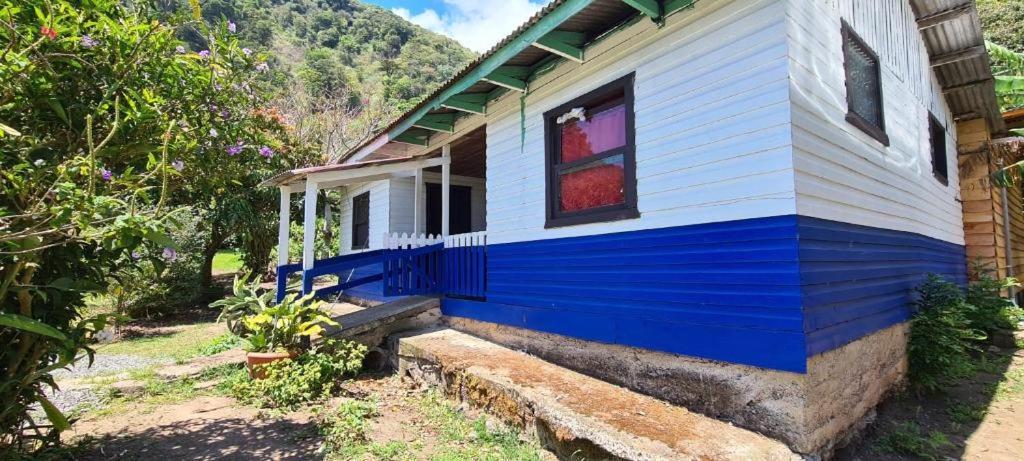Glamping Monteverde Eksteriør billede