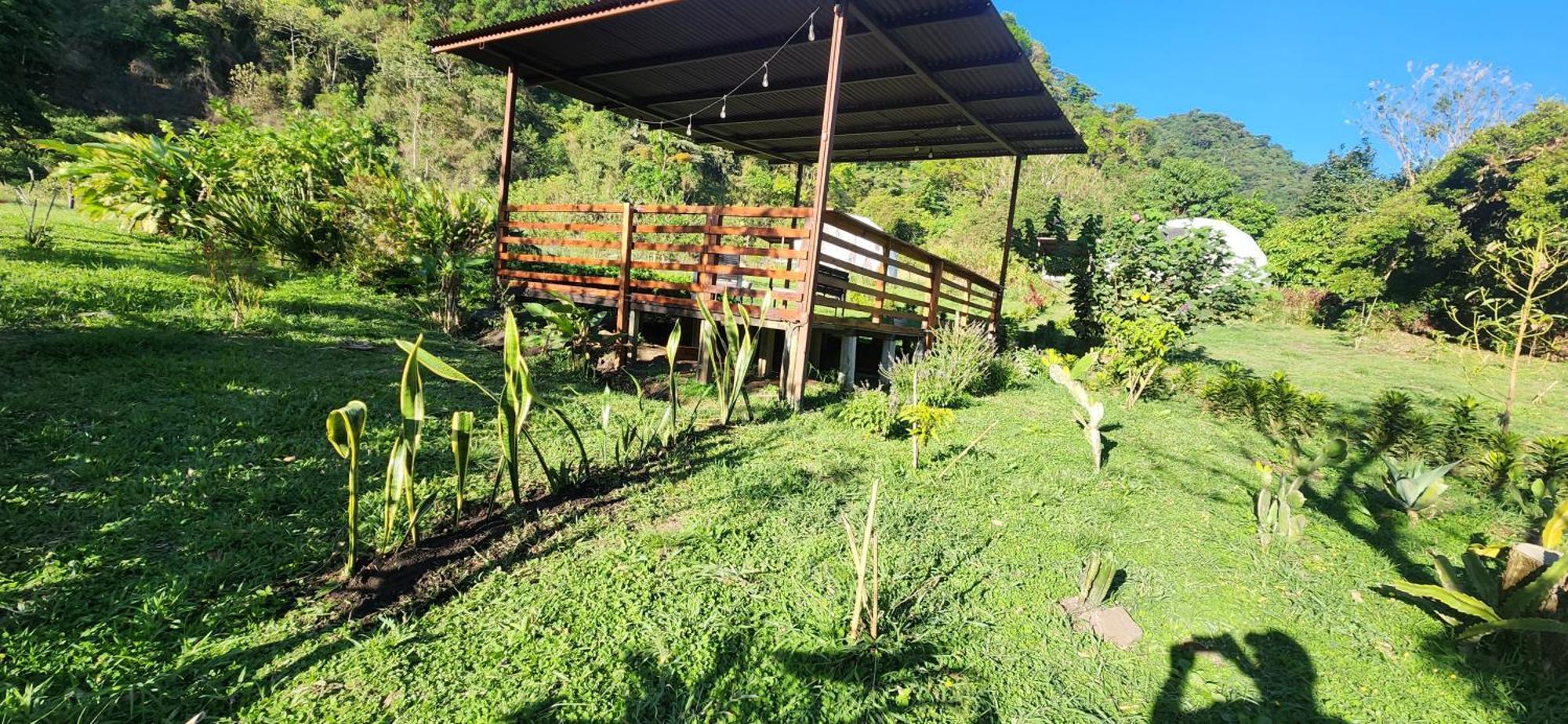 Glamping Monteverde Eksteriør billede