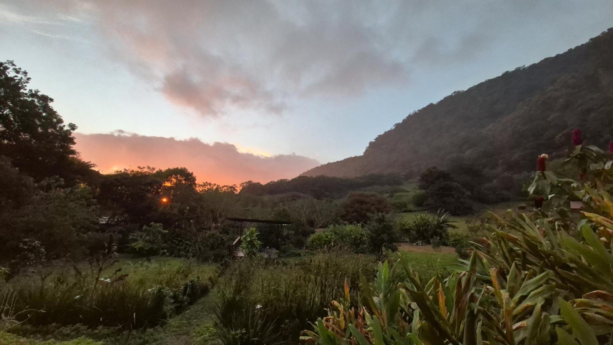 Glamping Monteverde Eksteriør billede