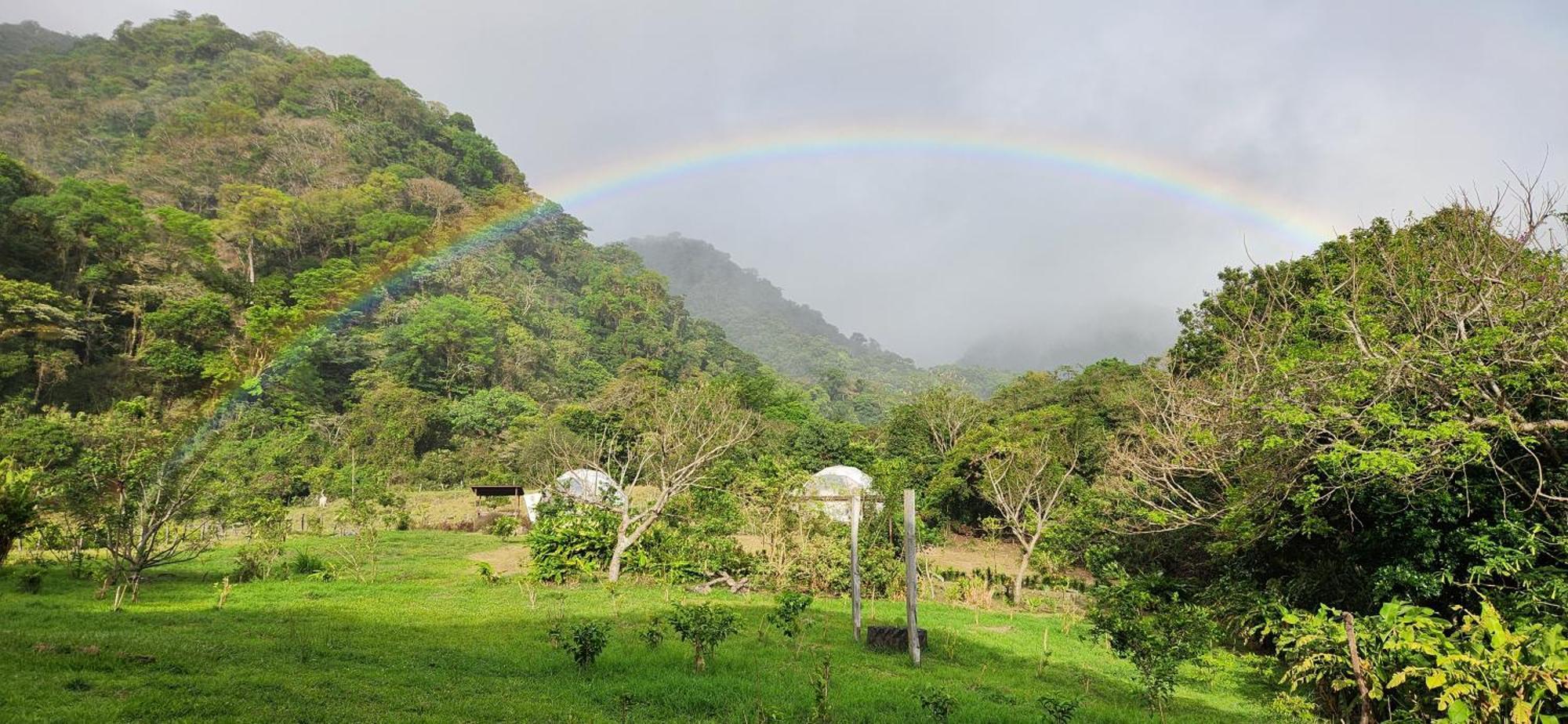Glamping Monteverde Eksteriør billede