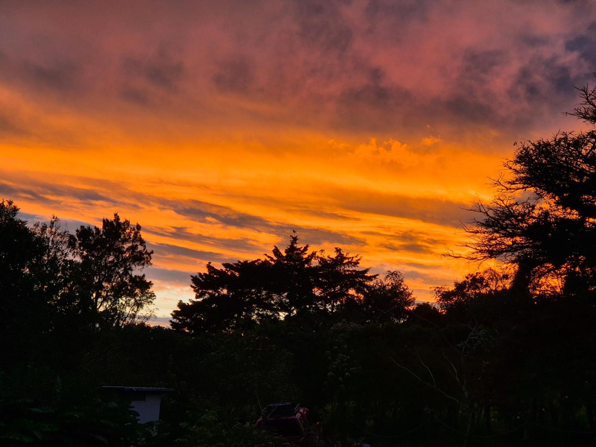 Glamping Monteverde Eksteriør billede