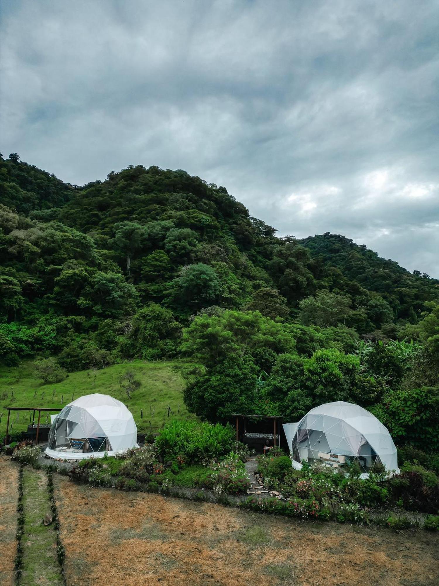 Glamping Monteverde Eksteriør billede