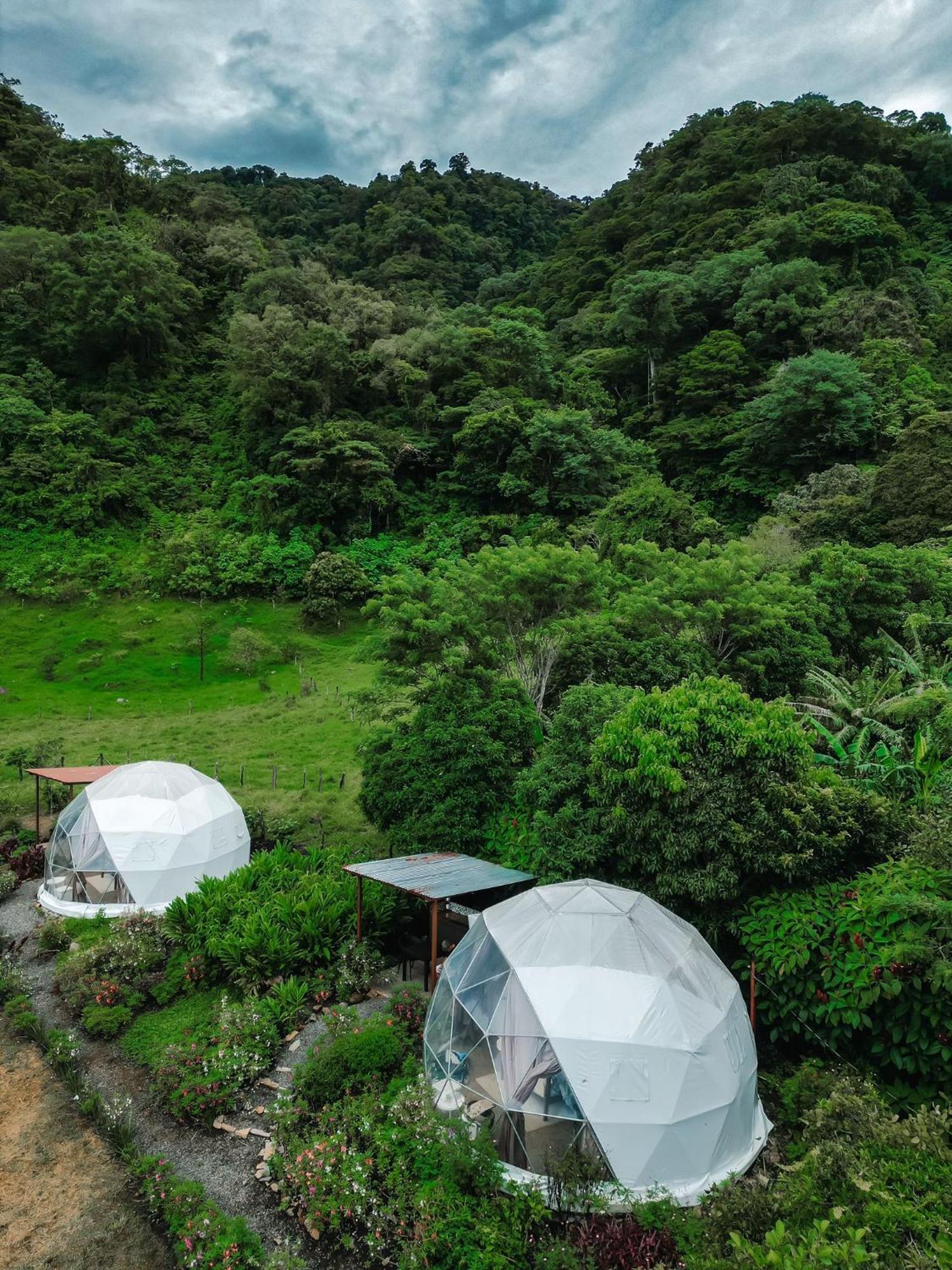 Glamping Monteverde Eksteriør billede