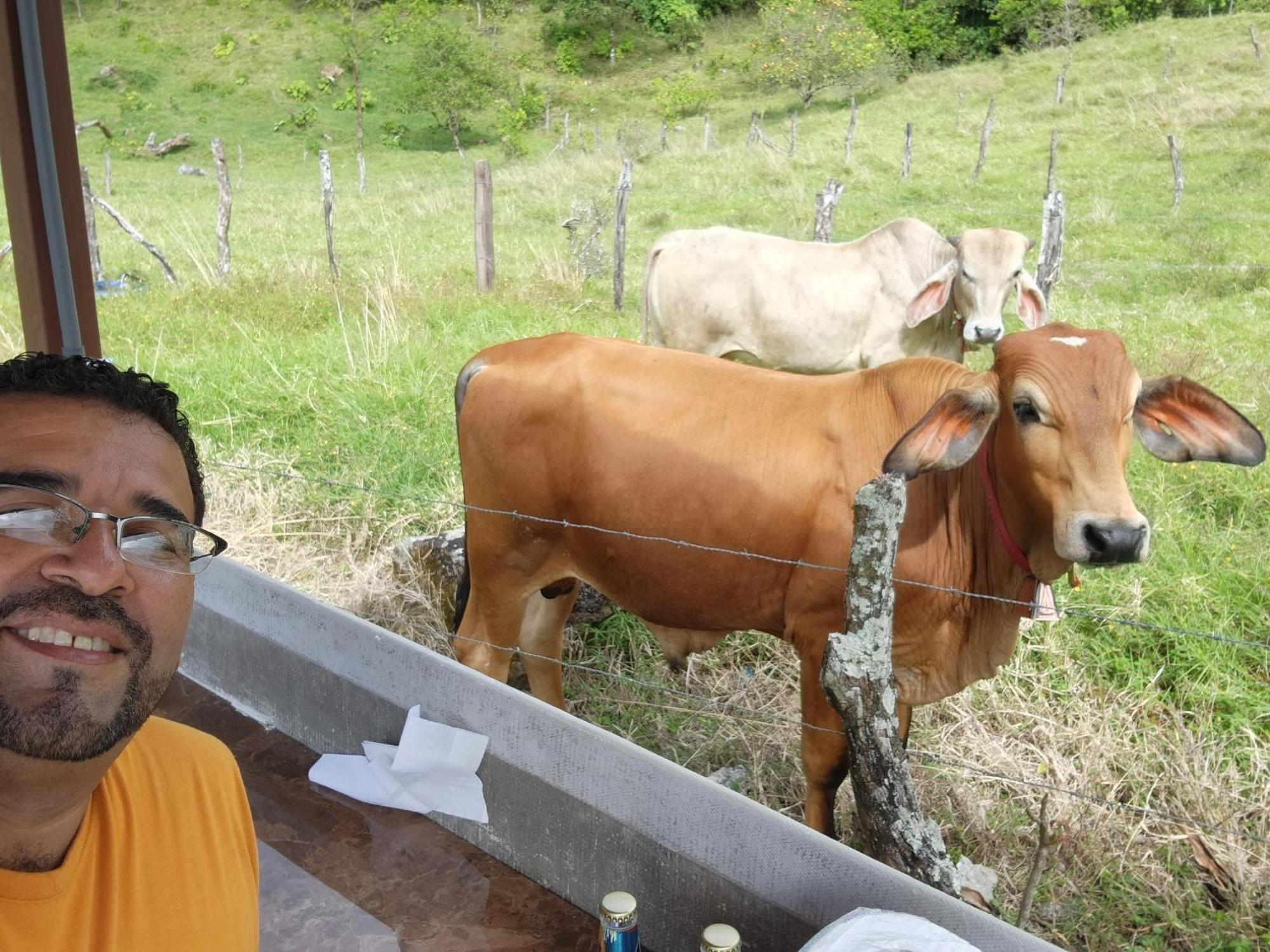 Glamping Monteverde Eksteriør billede