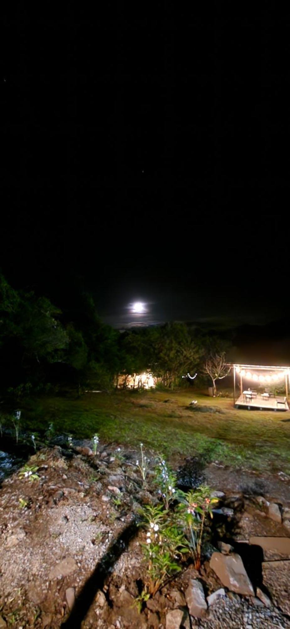 Glamping Monteverde Eksteriør billede