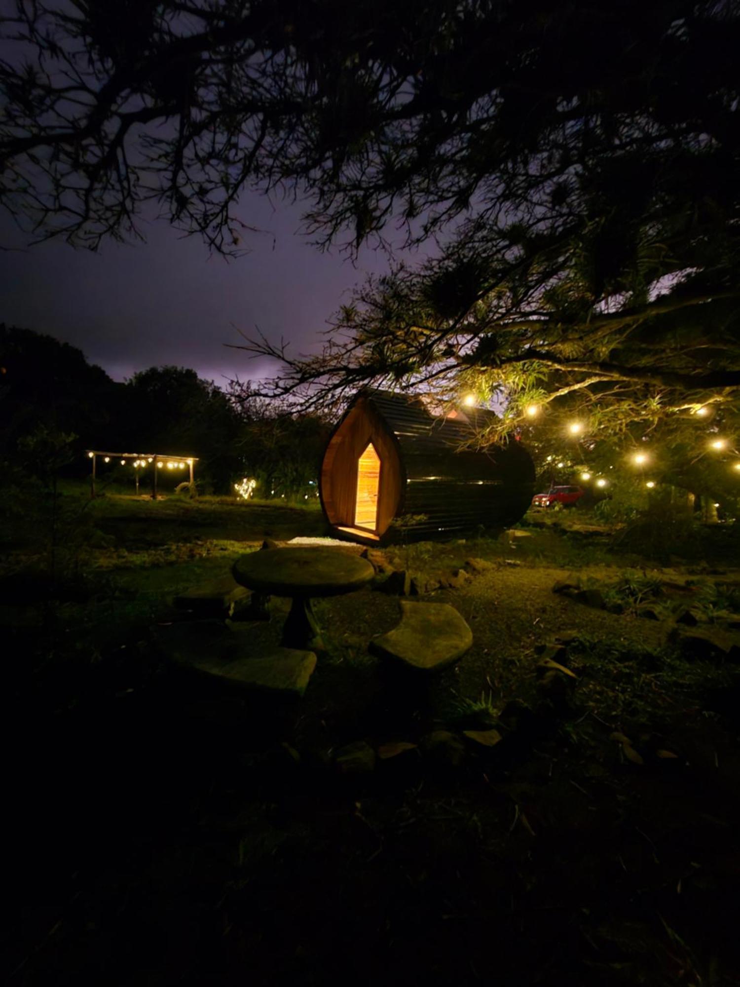 Glamping Monteverde Eksteriør billede